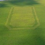 block O in corn