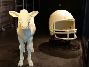 Ohio State Fair 2015 butter calf and helmet