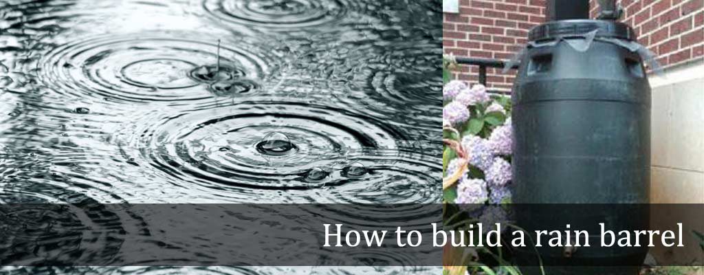 rain barrel