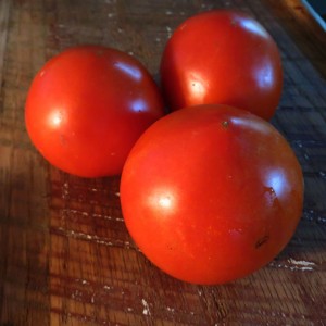 tomatoes