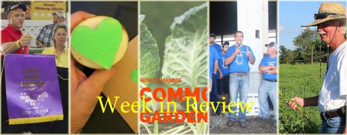 Week in Review 7/25 Week in Review 7/25