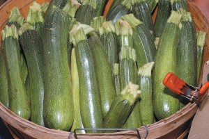 zucchini in a basket