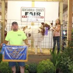 Ash best of show dairy beef feeder