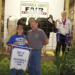 Ash best of show dairy steer