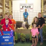 Ash best of show hog
