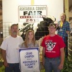 Ash gr ch dairy steer