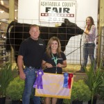 Ash res ch steer