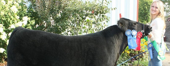 Hannah Jarvis.grand champion project Columbiana County Fair grand champion project steer