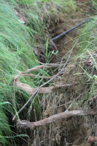 Musser farm subsides