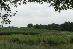 Musser farm and subsidence