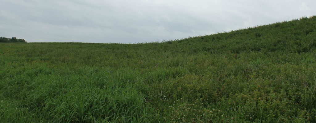 Musser family farm sinking
