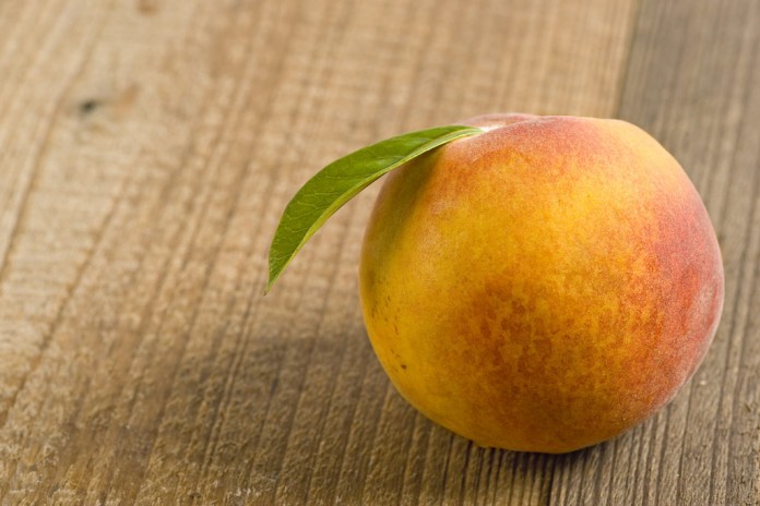 PeachesWeb