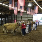 Portage Jersey Dairy Show