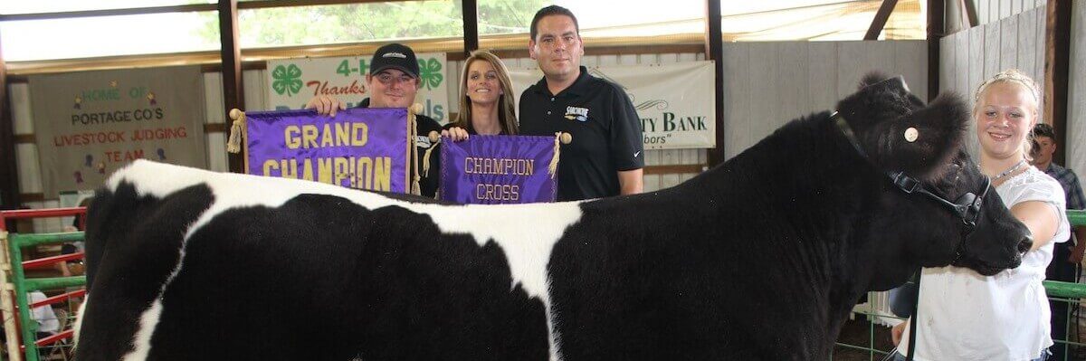 grand steer