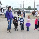 Mini-horse at Portage Fair