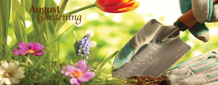 flowers and trowel flowers and trowel