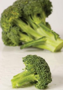broccoli