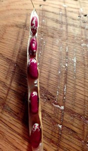 dried beans