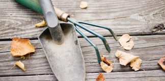 garden tools and fall leaves