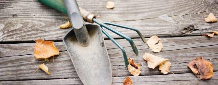 garden tools and fall leaves garden tools and fall leaves