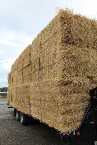 straw load