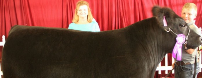 lawrence grand champion steer