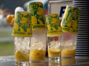 lemon shakes