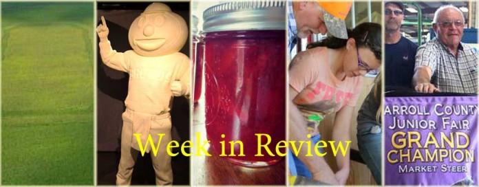Week in review 8/1 Week in review 8/1
