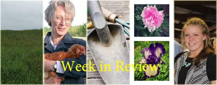 Week in Review 8/29 Week in Review 8/29