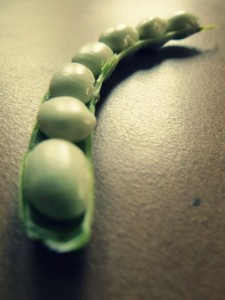 white runner beans