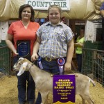 2015 Canfield gr ch dairy goat