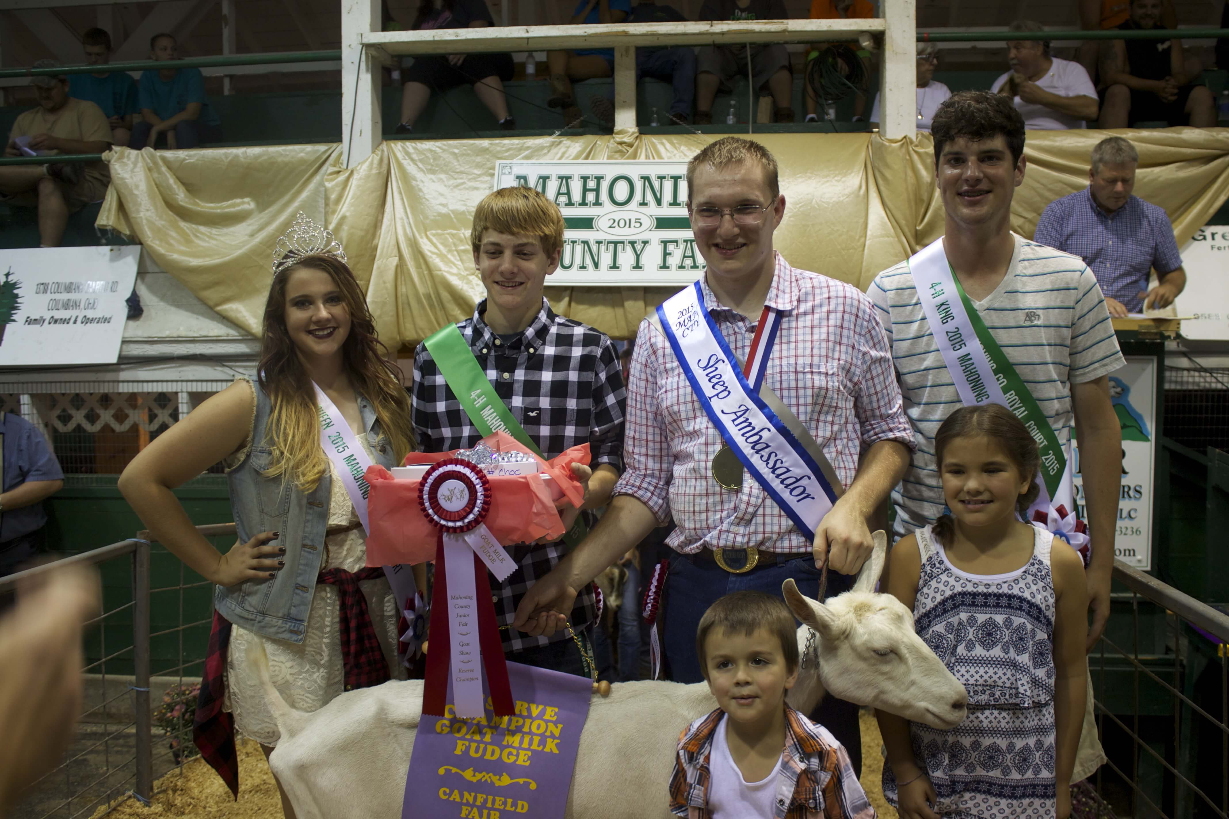canfield gr ch lamb