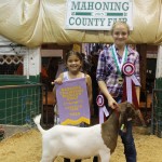 2015 Canfield rs ch market goat