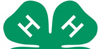 4-H logo