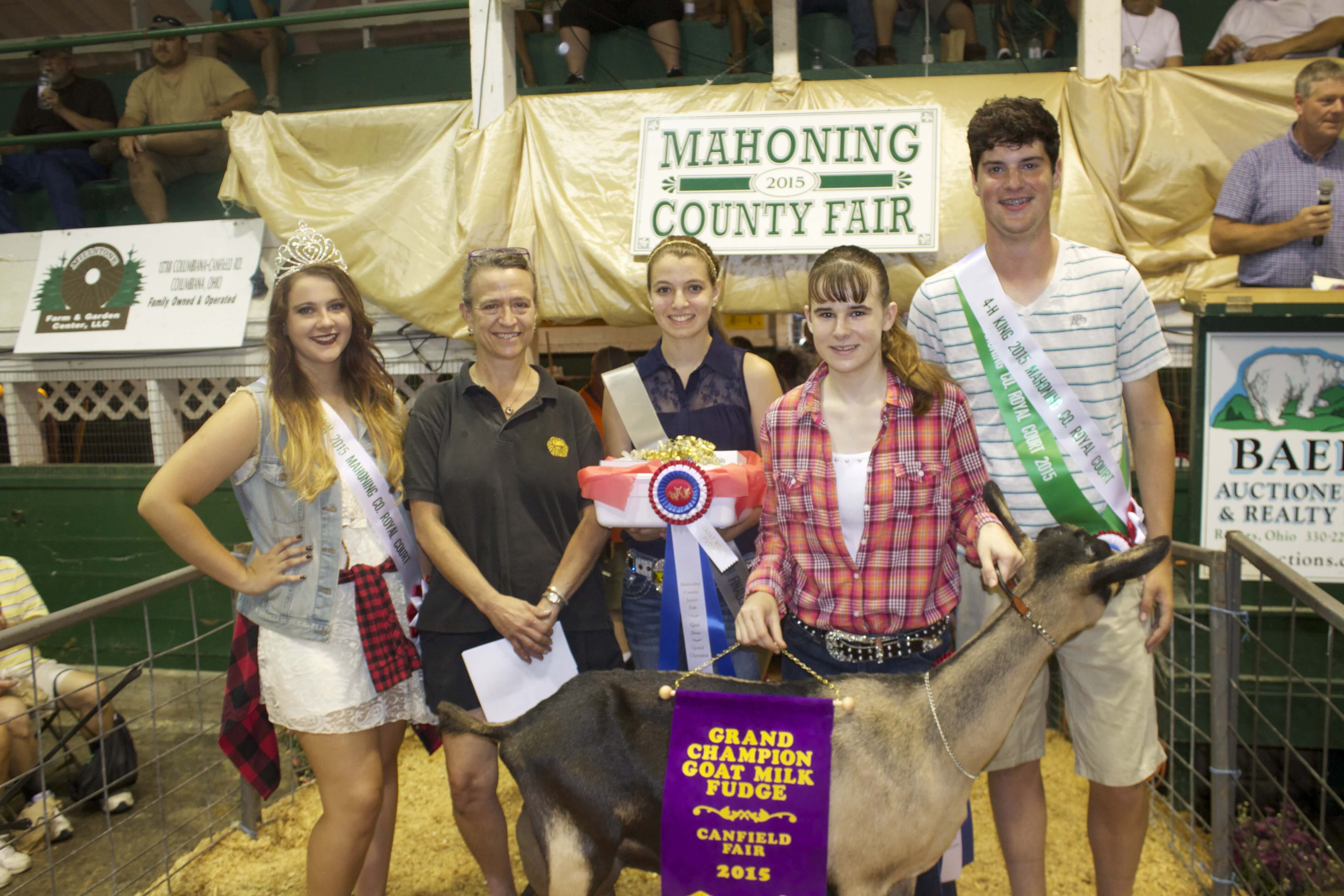 canfield gr ch lamb