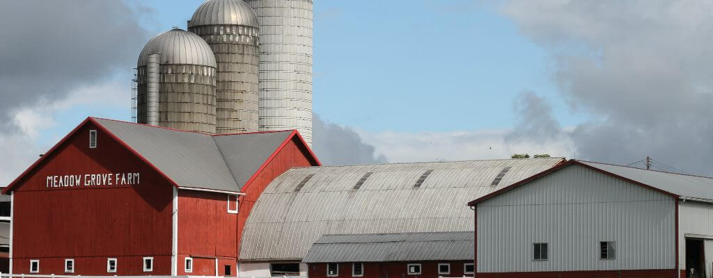 Hartzell 11: Meadow Grove Farm