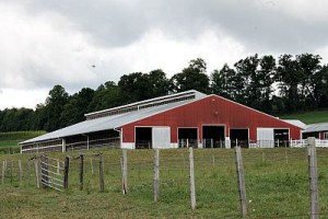 Hartzell9: Meadow Grove Farm