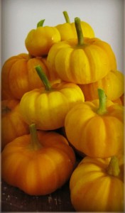 Jack be little pumpkins