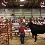 Going once, going twice, sold!