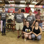 Reserve champion cheese project