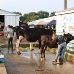 An evening at the wash racks