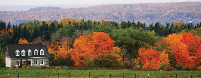 autumn scene autumn scene
