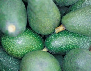 pile of avocados