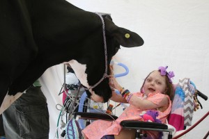 Reese's cow