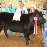 Canfield Fair reserve champion steer