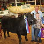 Canfield Fair grand champion steer