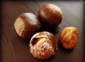 chestnuts