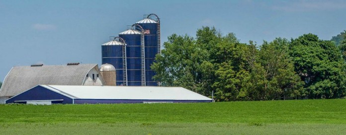 farm future.Metro