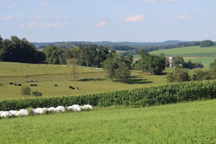 farmland 3 acres of land