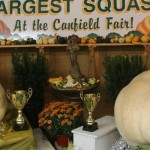 rs ch pumpkin